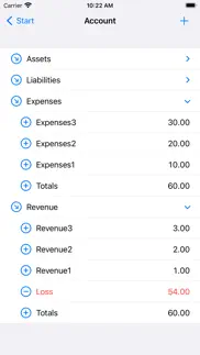 double-entry bookkeeping iphone screenshot 3