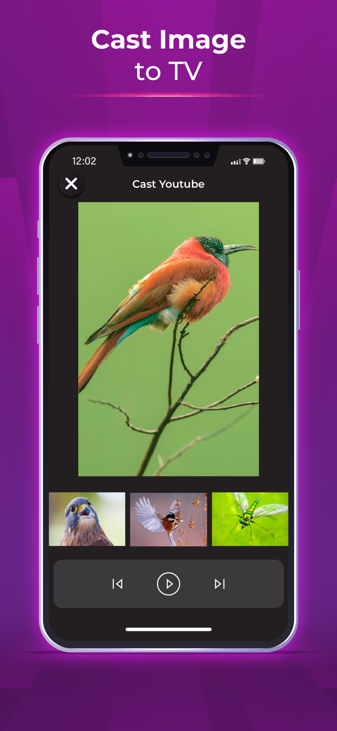 TV Remote - Universal Control