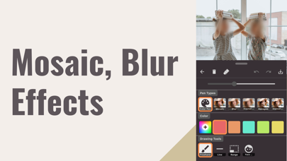 Blur & Mosaic Photo editor Screenshot