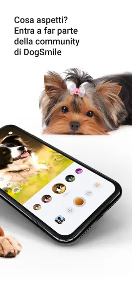 Game screenshot DogSmile! hack