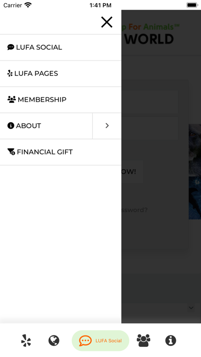 LUFA World Inc Screenshot