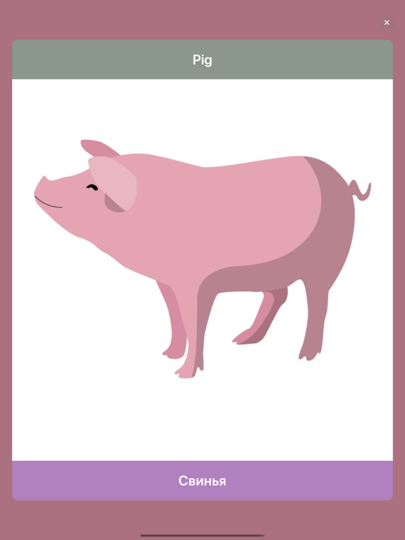 Doman Flashcards – Educational iPad screenshot 5 - Education app