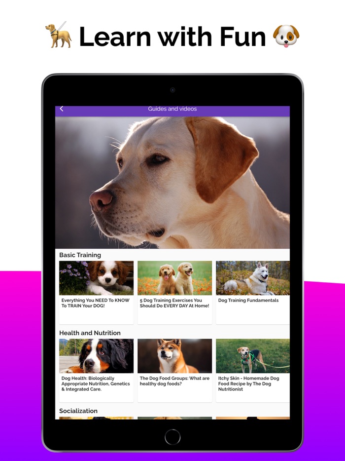 Dog Care Pro Guide Tips  Fun