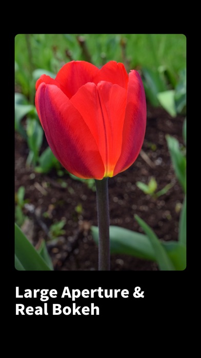 Vivid Focus: Photo Lens Blur Screenshot