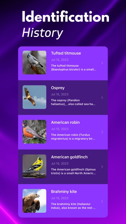 Bird ID: Identify Birds screenshot-4