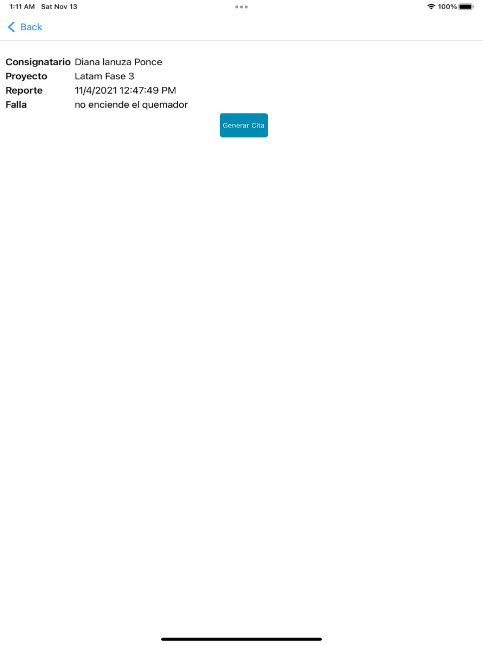 iPad screenshot