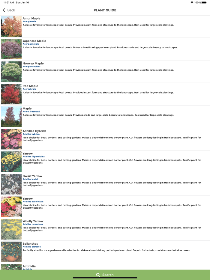 Donaldsons Greenhouse Nursery