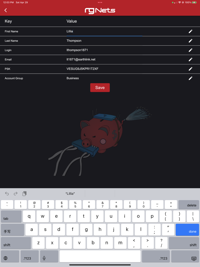rXg Account Details Editor