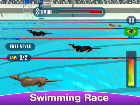 Dog Swimming Raceのおすすめ画像7