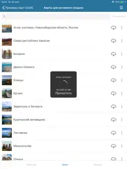 cogis mobile айпад изображения 2