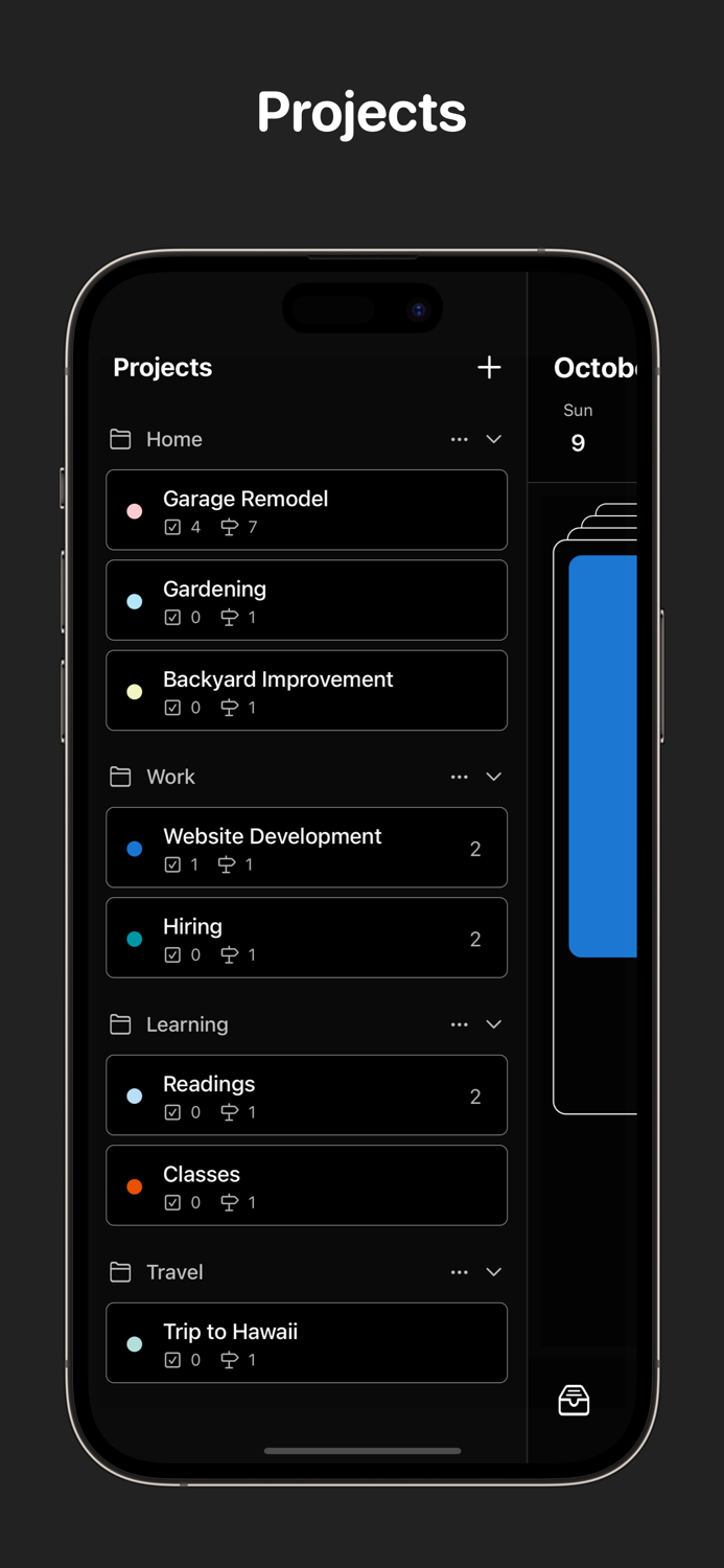 Execute Planner Task Manager