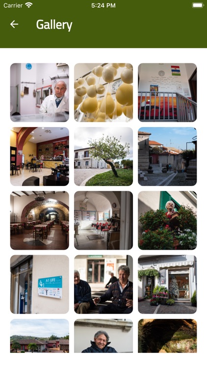 ViviLacedonia screenshot-5