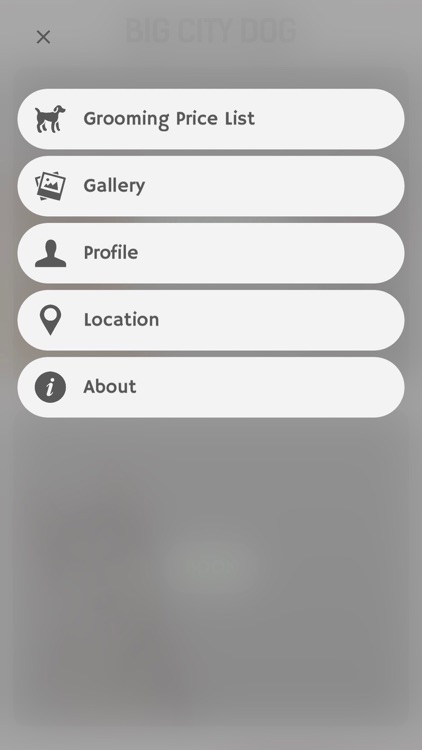 Big City Dog screenshot-3