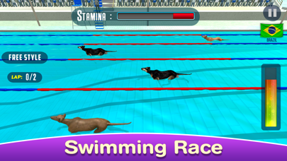 Dog Swimming Raceのおすすめ画像3