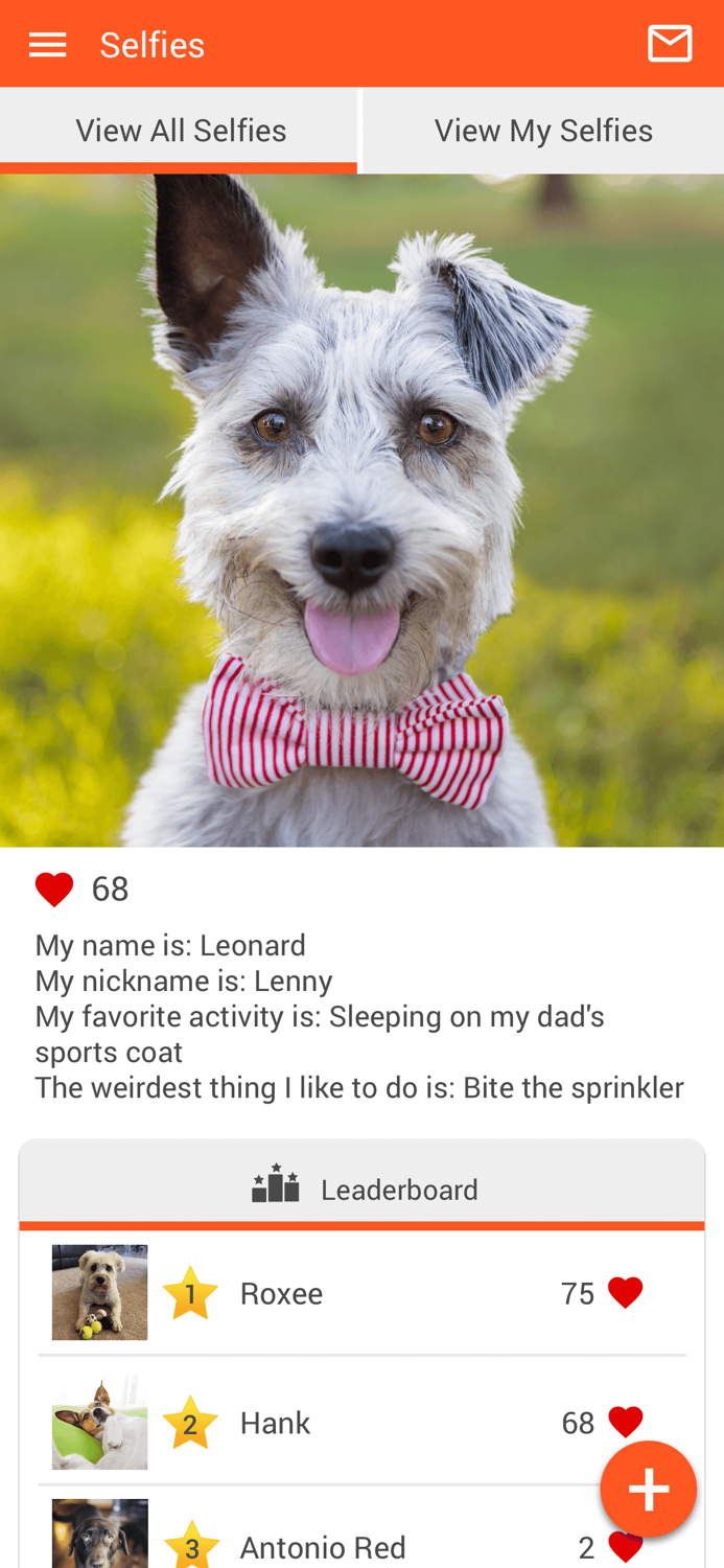 Murfreesboro Animal Clinic