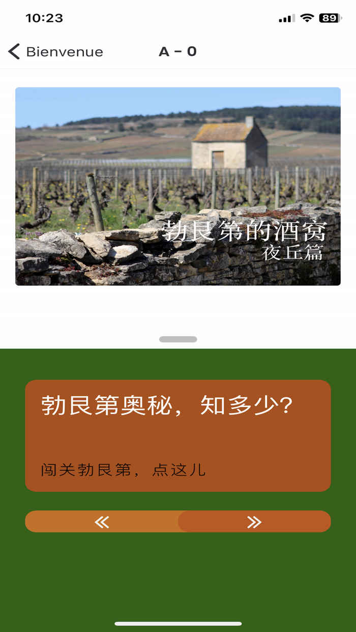 勃艮第的酒窝 Vins de Bourgogne