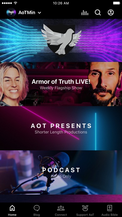 Armor of Truth Screenshot