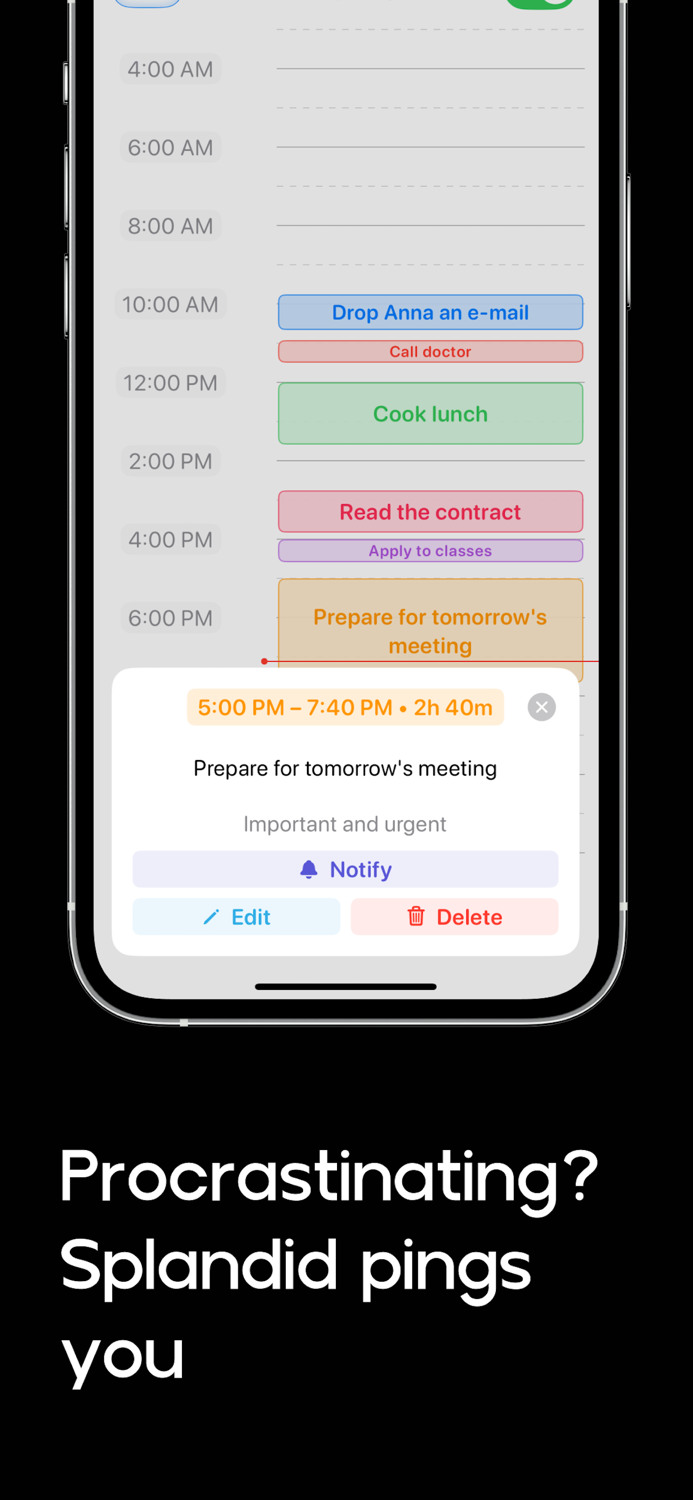 Visual Daily Planner. Splandid