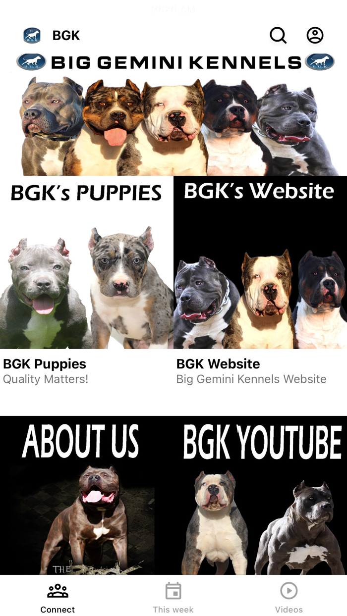 Big Gemini Kennels