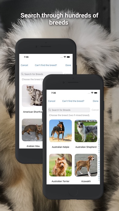Pet-Care Screenshot