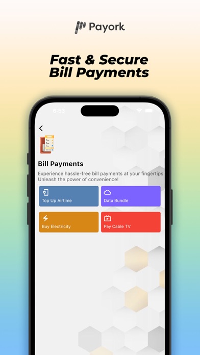 Payork Screenshot