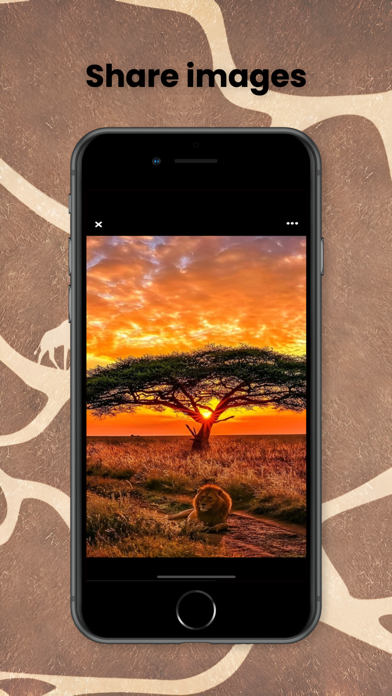 African Proverbs by Topic Screenshot