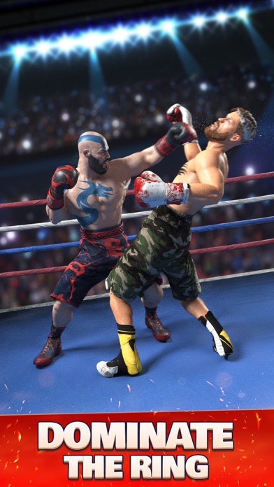 Boxing Ring Screenshot