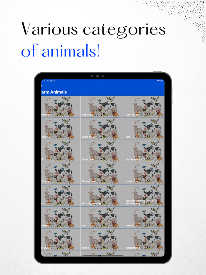 Animal Sounds - Cats Meowing