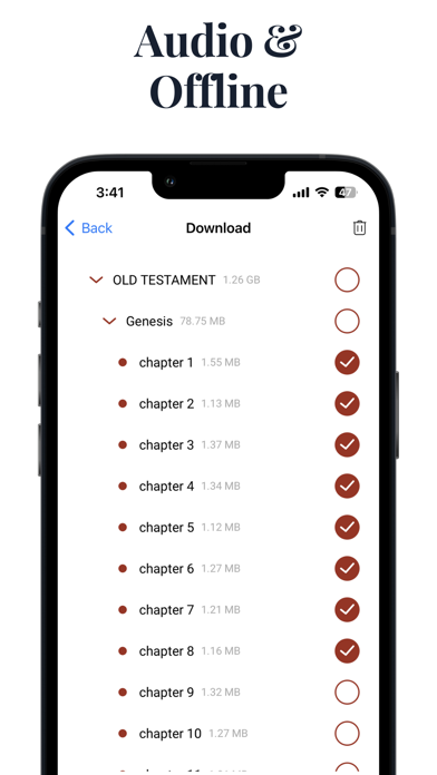 Amplified Bible Audio Study Screenshot
