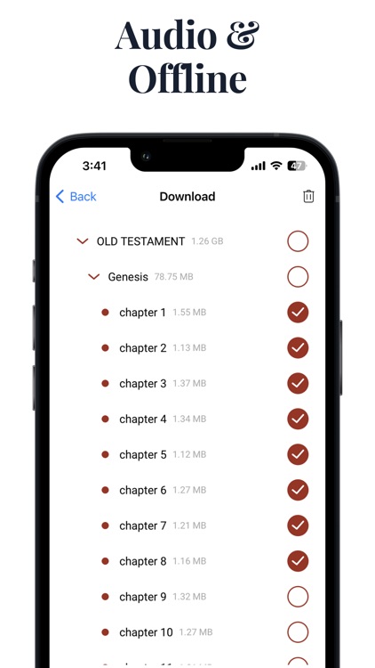 Amplified Bible Audio Study