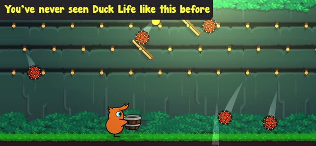 Duck Life: Battle - Game Overview