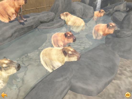 Screenshot #6 pour Capybara Spa