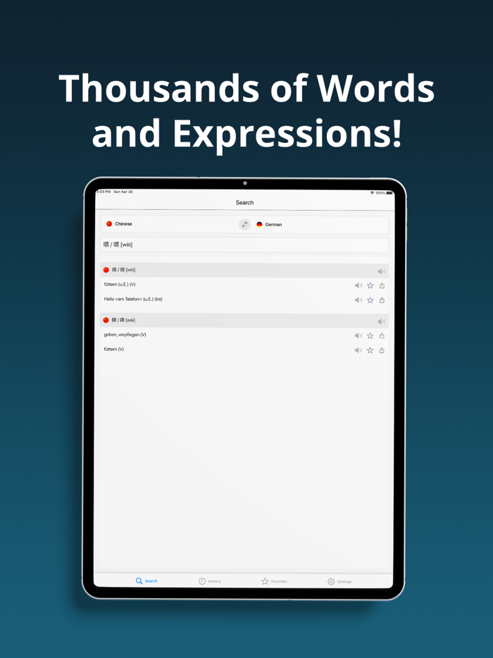 German Chinese Dictionary 