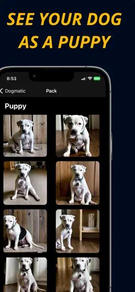 Game screenshot Dogmatic apk