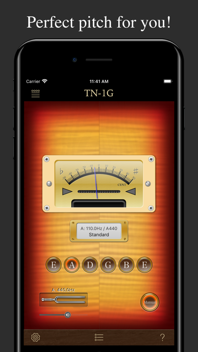 Guitar Tuner TN-1G