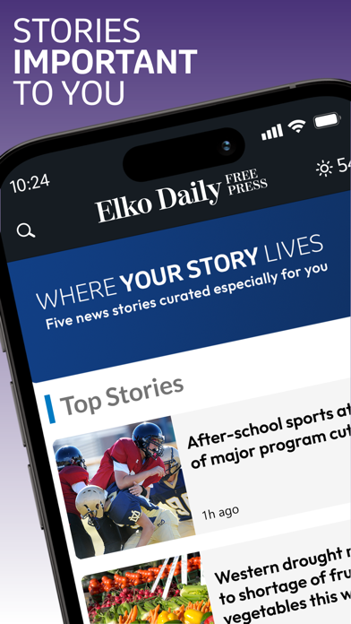Elko Daily Free Press Screenshot