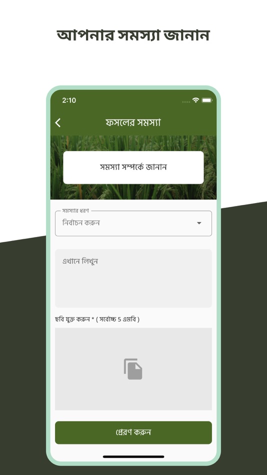 #4. Rice Profile (iOS) 由: ICT Division