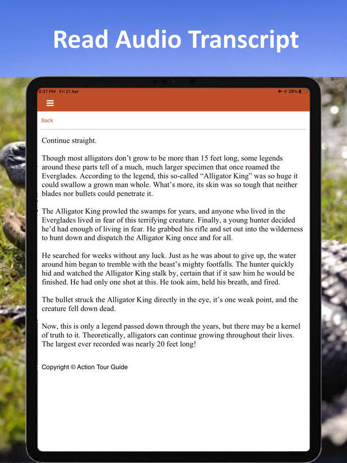 Everglades National Park Tour