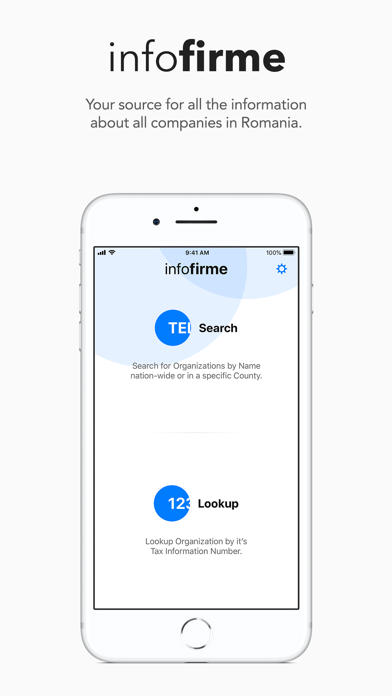 infofirme X — Company Info Screenshot