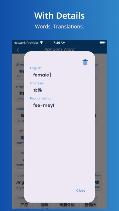 Chinese Translator Offline Screenshot