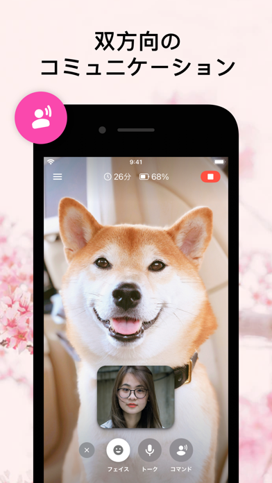 Barkio: 犬用お留守番カメラ screenshot1