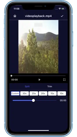 Game screenshot Video Splitter hack