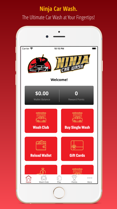 Screenshot #1 pour Ninja Car Wash