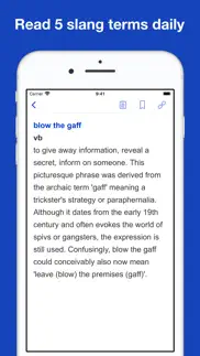 english slang dictionary iphone screenshot 3