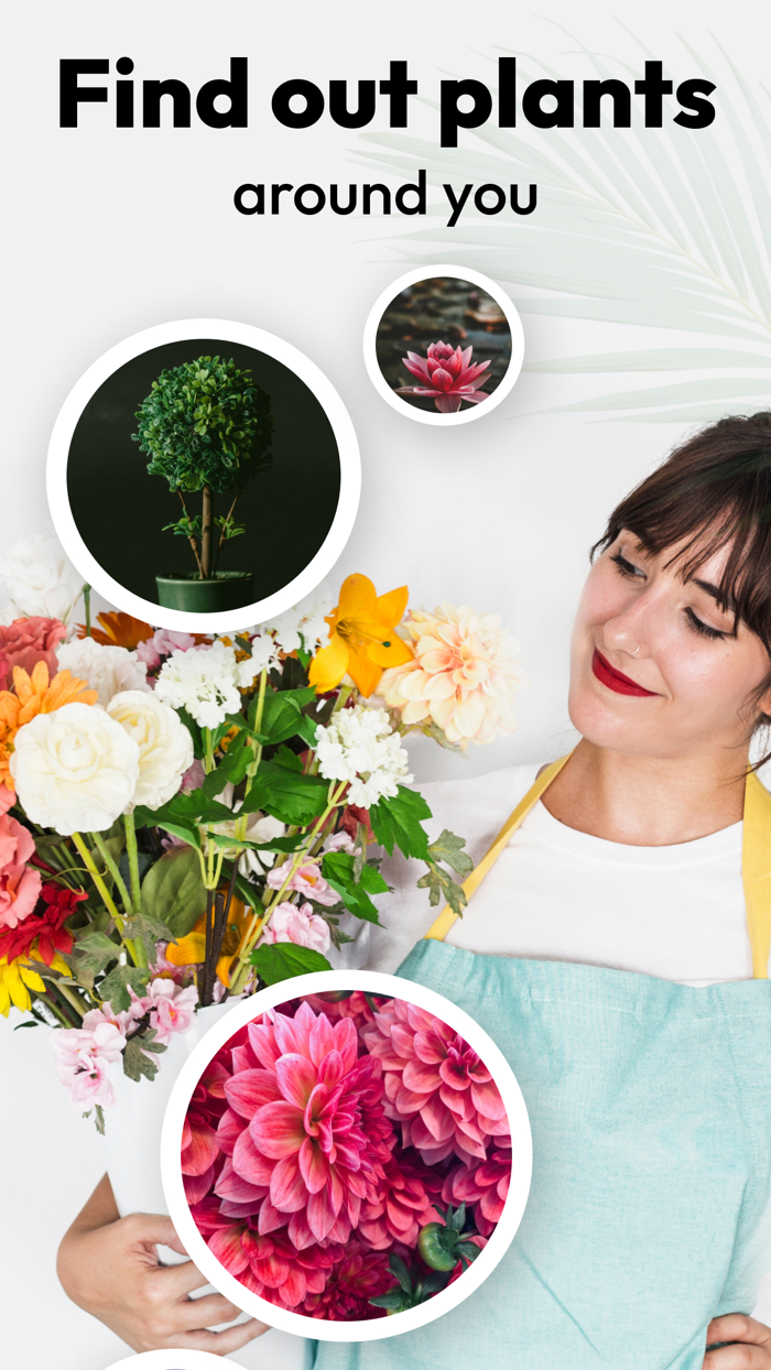 Plantics AI Plant Identifier