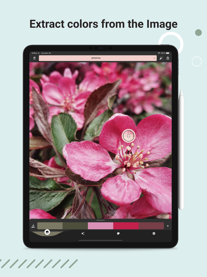 Color Picker AR Make Palette