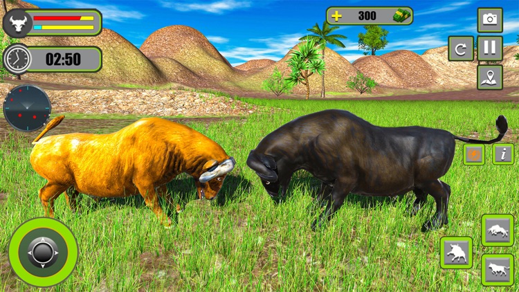 Angry Bull Attack Fight Game