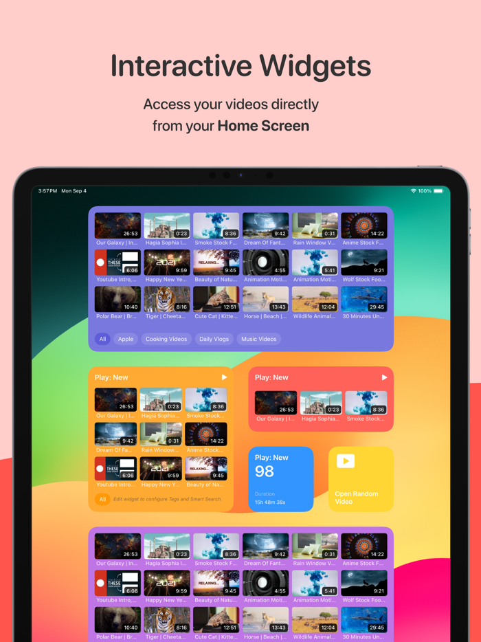 Play Save Videos Watch Later