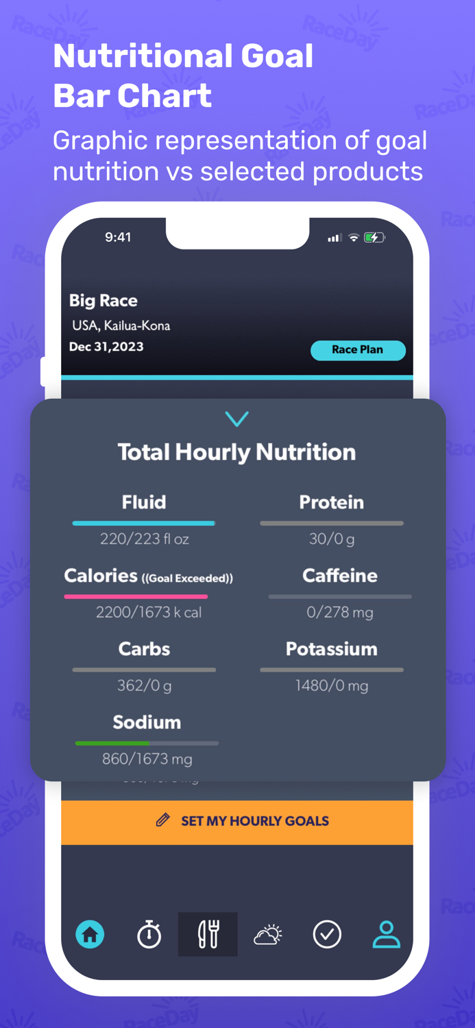 RaceDay Triathlon Planner