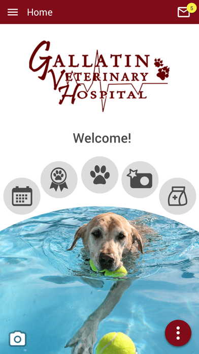 Gallatin Veterinary Hospital Screenshot